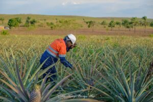 IMG-20240411-WA0051-300x200 Portrait | Laurent Luwawa Nganga : l'acteur socio-agricole de renom qui fait parler en province